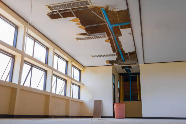 Best 24/7 water damage repair  in South River, NM