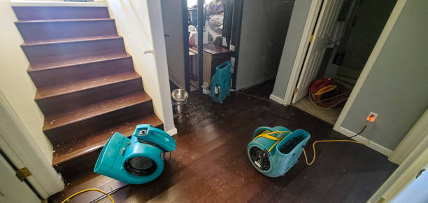 Best Ceiling water damage repair  in South River, NM