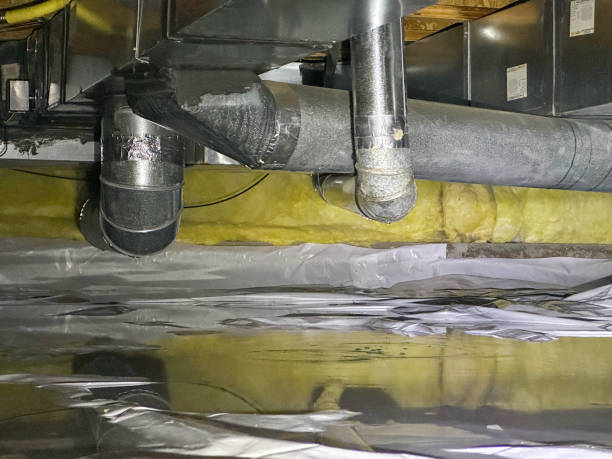 Best Professional water damage repair  in South River, NM