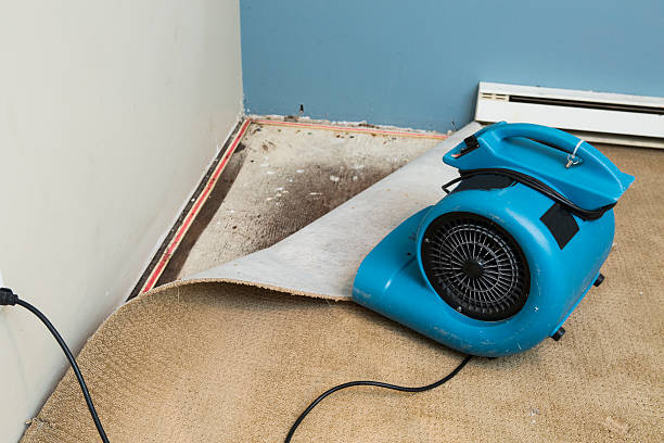 Best Flooded house restoration  in South River, NM